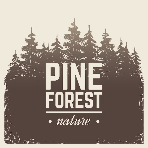 Sketch vintage nature pine and fir tree forest in misty fog Premium Vector