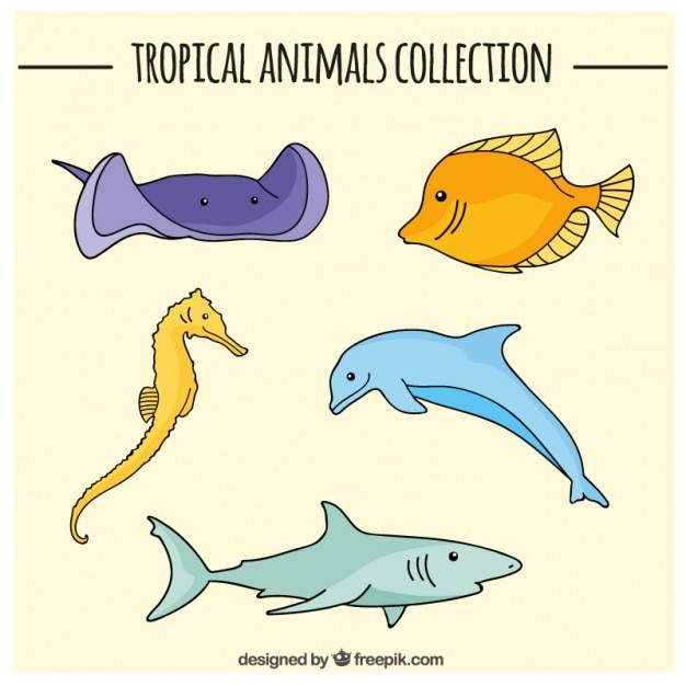 Sketches colored fishes set Vector | Free Download