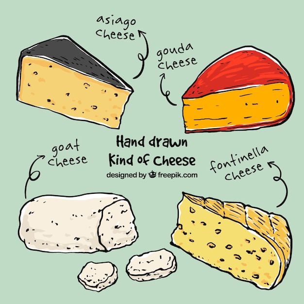 Sketches different cheeses Free Vector