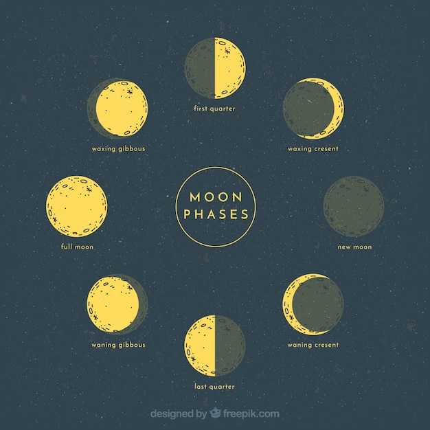 Sketches of lunar phases Free Vector Sketches of lunar phases Free Vector