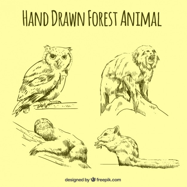 Free Vector | Sketches set of forest animals