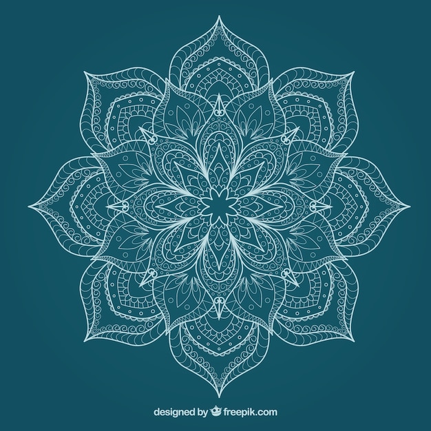 Download Sketchy cute flower mandala Vector | Premium Download