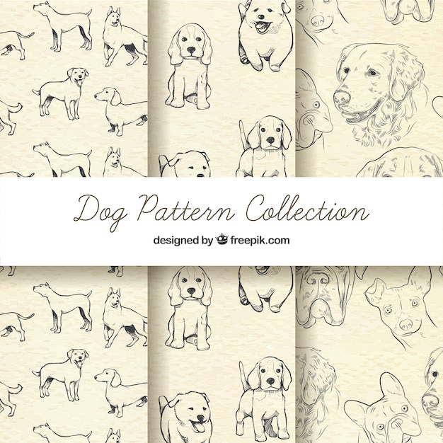 Sketchy dog pattern collection