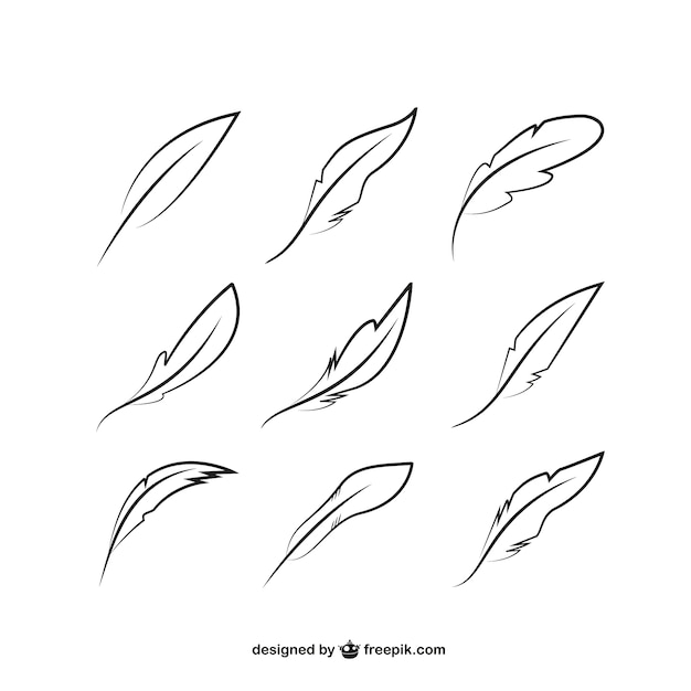 Download Feather Outline Images | Free Vectors, Stock Photos & PSD