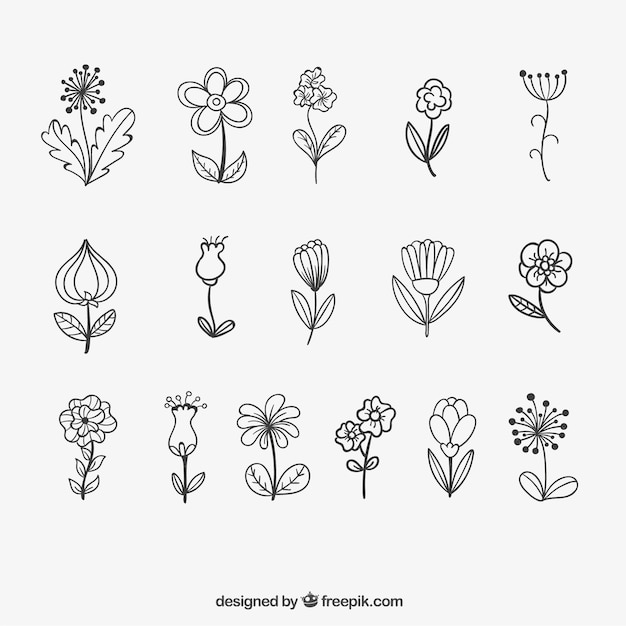 Download Free Vector | Sketchy flowers