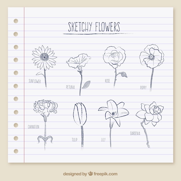 Sketchy flowers