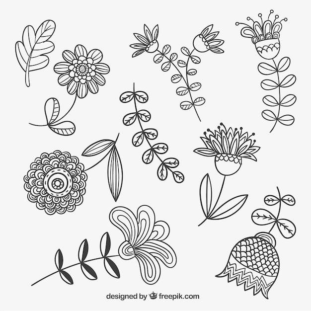 Download Sketchy spring flowers Vector | Free Download