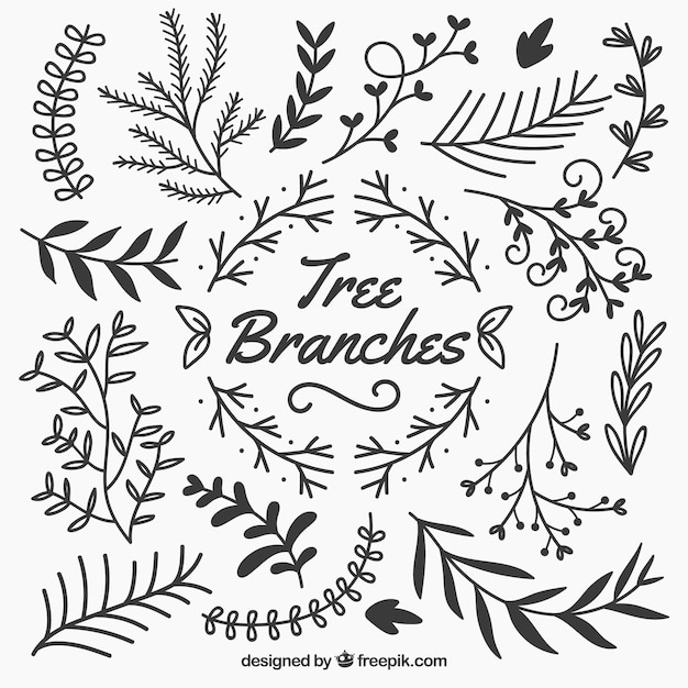 Download Branches Vectors, Photos and PSD files | Free Download