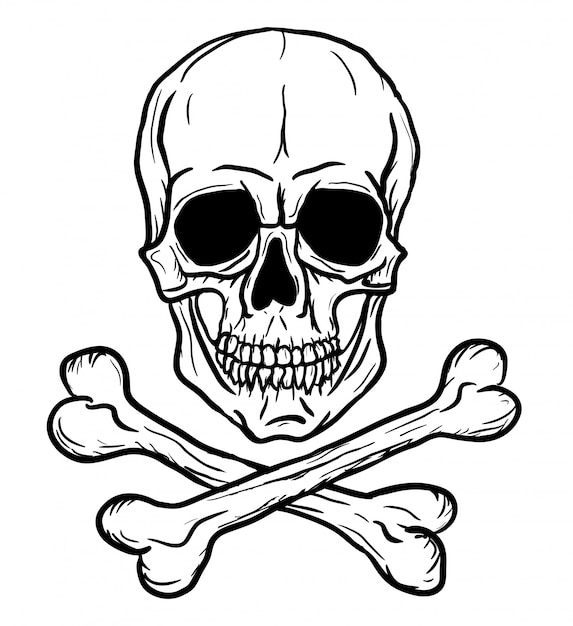 Premium Vector | Skull and crossbones isolated