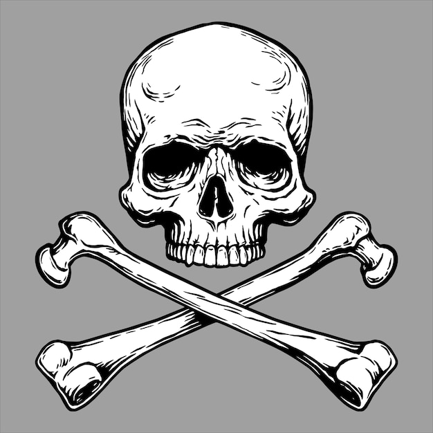 Premium Vector Skull Head And Crossed Swords Illustration