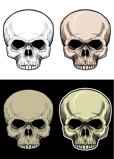 Premium Vector | Skull head without lower jaw drawing illustration with ...