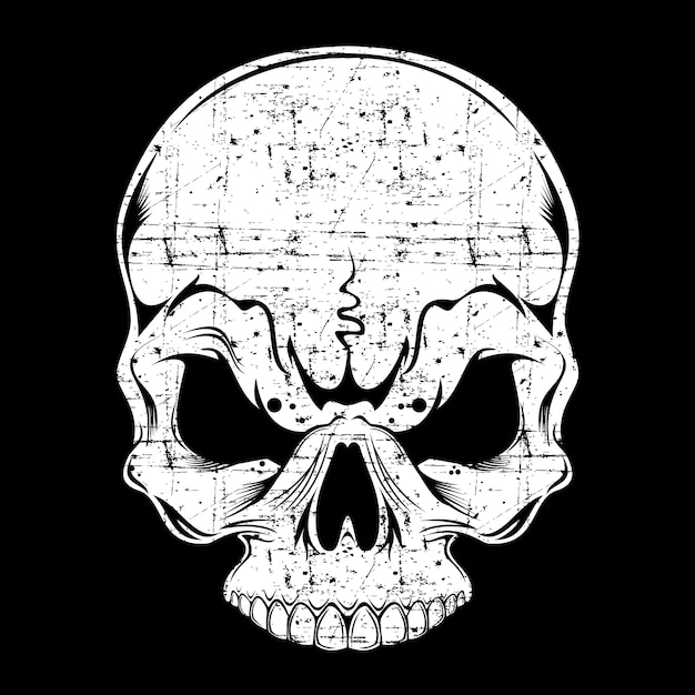 Skull retro,vintage,detail hand drawing Vector | Premium Download