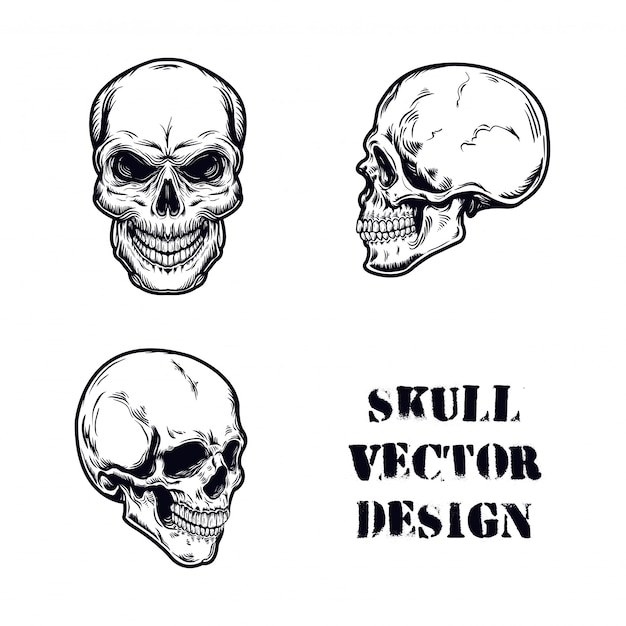 Download Free Skull Vector Images Free Vectors Stock Photos Psd Use our free logo maker to create a logo and build your brand. Put your logo on business cards, promotional products, or your website for brand visibility.