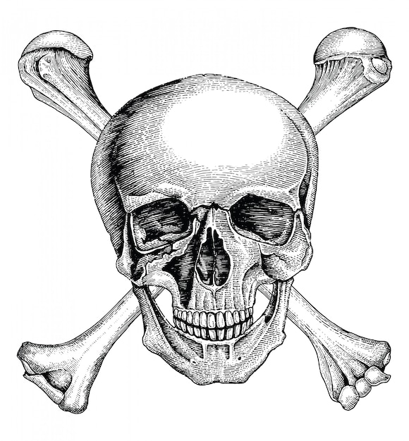 Download Premium Vector | Skull with crossed bones,pirate symbol ...