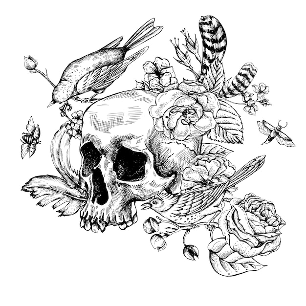 Skull with flowers, roses, birds and feathers Vector ...