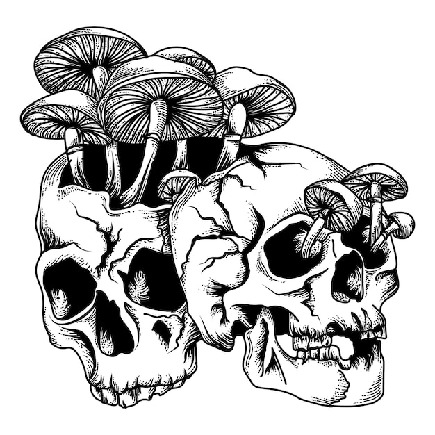 Skull with mushroom black and white illustration Premium Vector