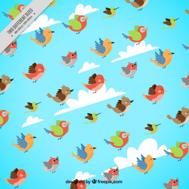 Sky background with colorful birds
