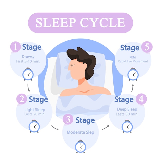 deep vs light vs rem sleep