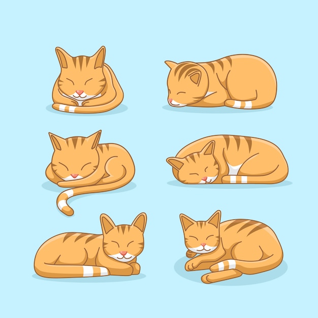 眠そうな生姜猫イラストセット プレミアムベクター
