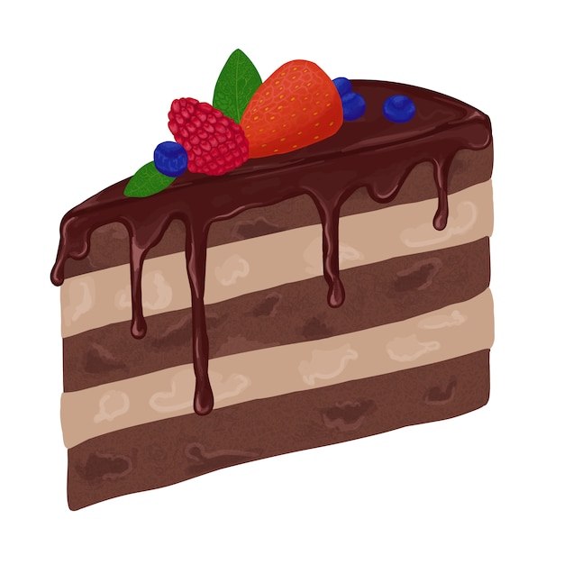 Premium Vector | Slice of chocolate cake with berries
