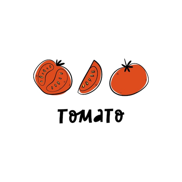 Premium Vector | Slice half whole tomato isolated on white background