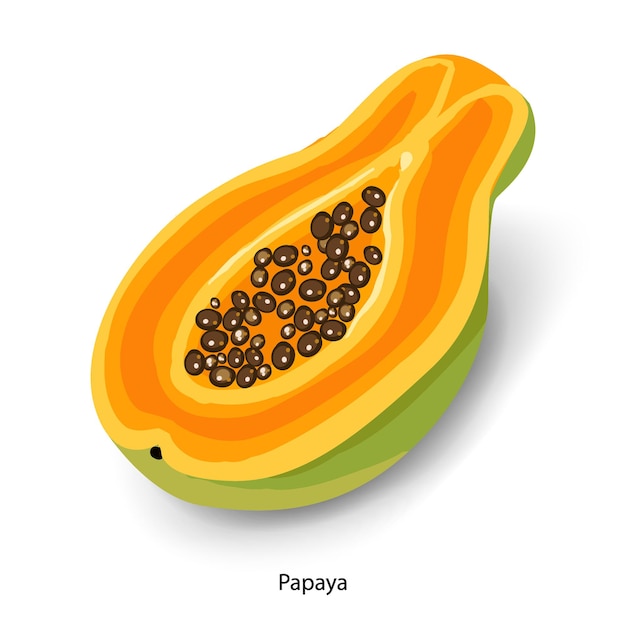 スライスしたパパイヤ漫画ベクトルイラスト熟したトロピカルフルーツ半分パパイヤ種子分離 プレミアムベクター