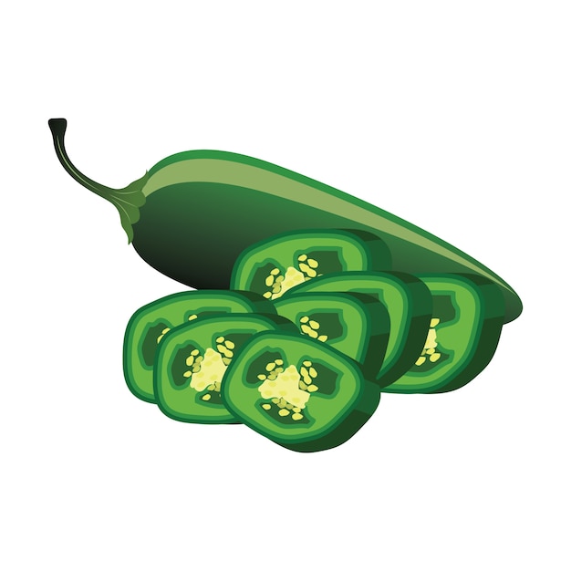 Slices of raw jalapeno pepper. vector illustration Free Vector