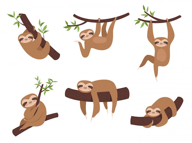 ナマケモノのキャラクター ベクトル漫画を登る枝ツリー子供にかわいい眠そうな動物 プレミアムベクター