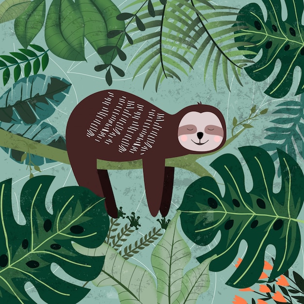 プレミアムベクター 熱帯のジャングルでナマケモノの睡眠
