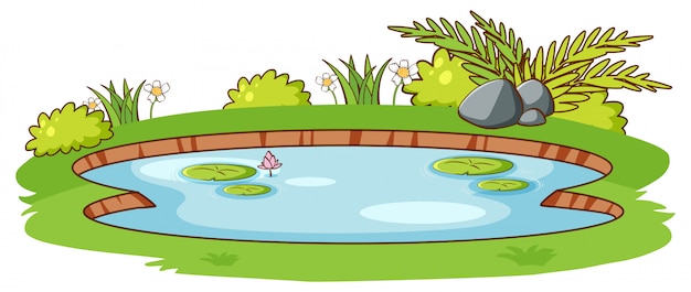無料のベクター 白い背景の上の緑の草と小さな池