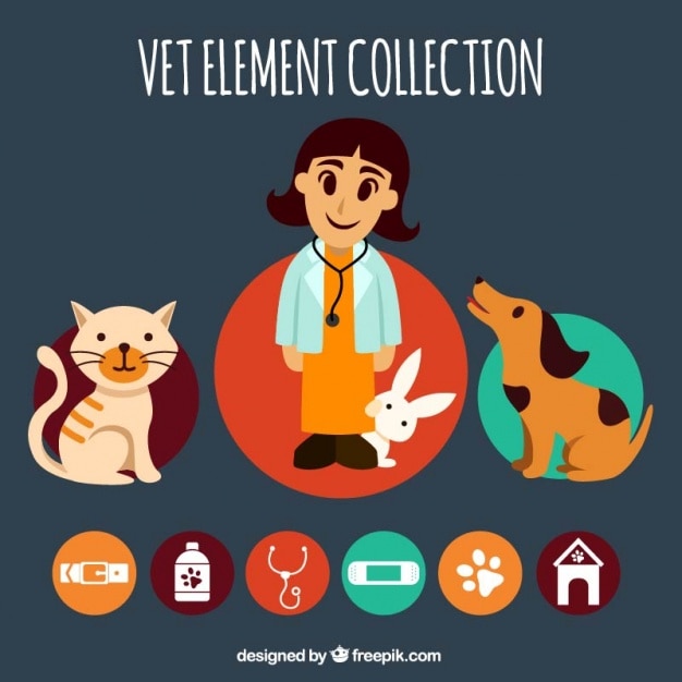 Smiling vet with animals and accessories