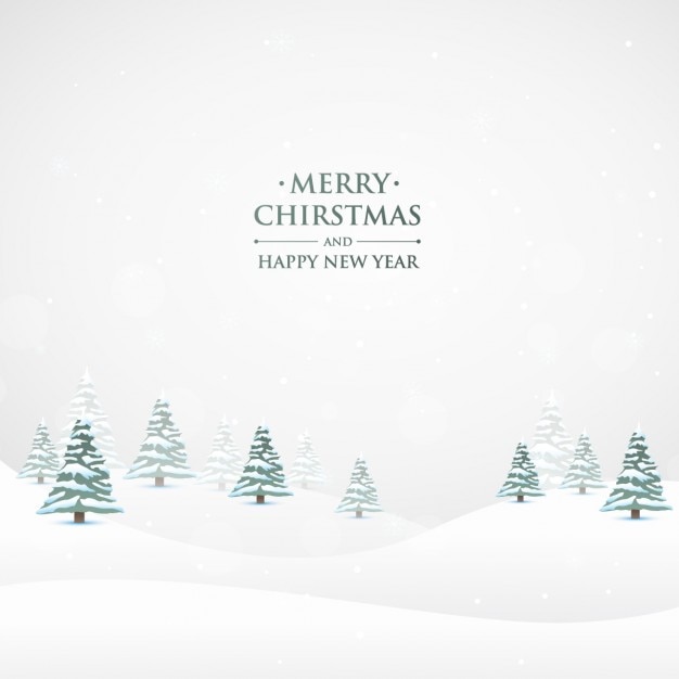Snowy christmas nature background