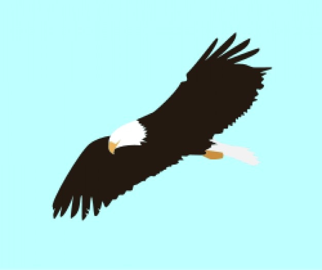 Download Free Soaring Eagle Free Vector Use our free logo maker to create a logo and build your brand. Put your logo on business cards, promotional products, or your website for brand visibility.