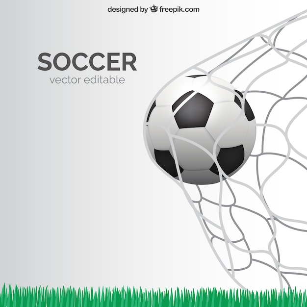 Soccer goal