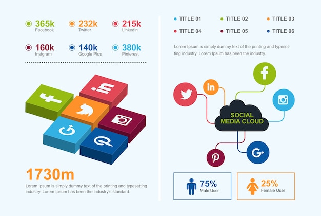 simple social media infographic