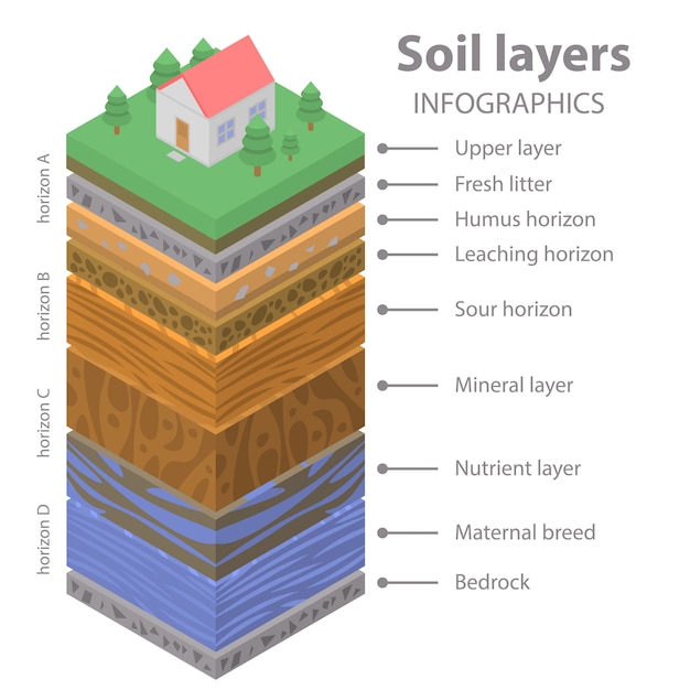 Premium Vector | Soil ground infographic, isometric style