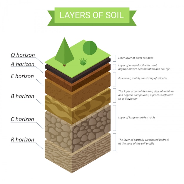 Premium Vector | Soil layers isometric diagram. underground soil layers ...