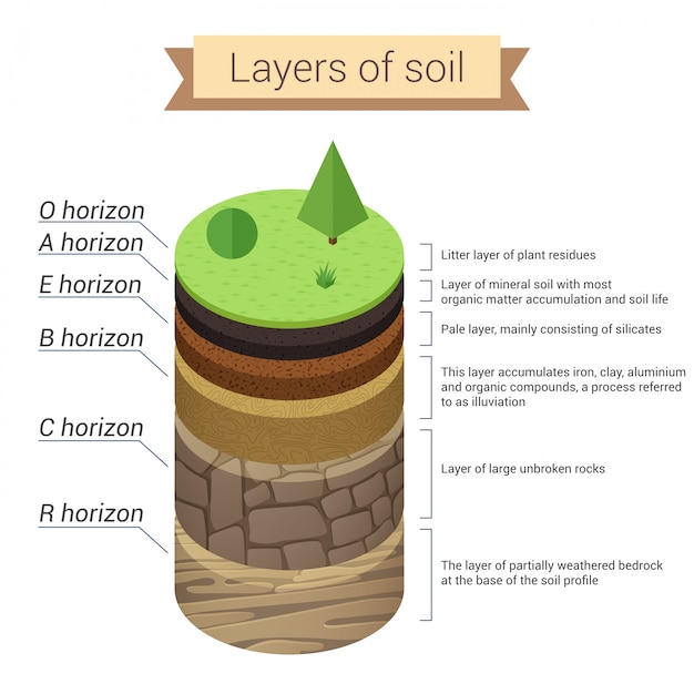 Premium Vector | Soil layers. soil is a mixture of plant residue and ...