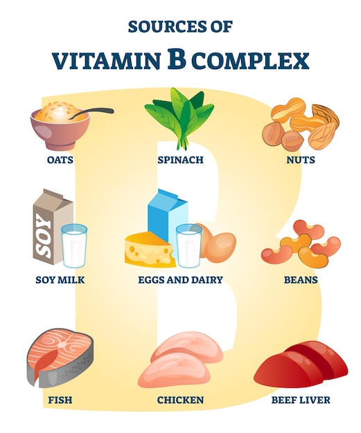 Premium Vector | Source of vitamin b complex with labeled healthy food  nutrient example list. natural cell metabolism dietary supplement example .  oats, spinach, nuts, dairy or fish health advantage