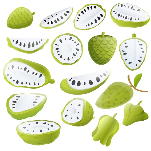 Premium Vector Soursop Set Cartoon Style