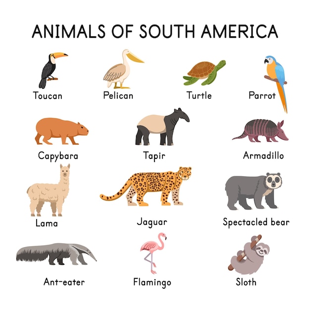 Животные Южной Америки Фото С Названиями