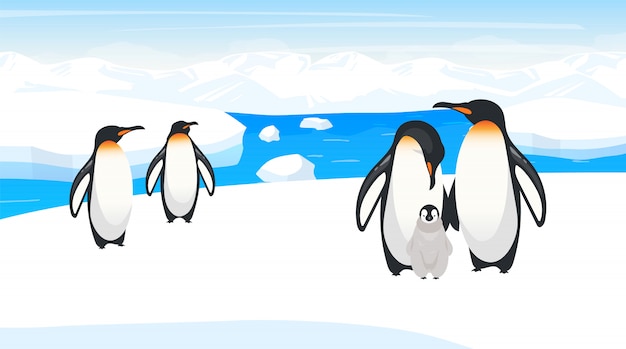 南極の野生生物のイラスト 皇帝ペンギンは雪の丘で繁殖します 自然生息地の極鳥種コロニー 雪の荒野 アイスランド環境 動物漫画のキャラクター プレミアムベクター
