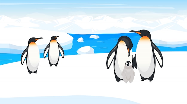 Premium Vector | South pole wildlife illustration. emperor penguins ...