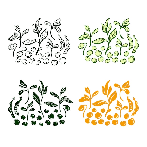 大豆植物の穀物の葉のセット手描きイラスト プレミアムベクター