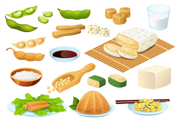 大豆食品白 ベジタリアンのタンパク質の食事 健康的な食事のコレクション イラストに設定 プレミアムベクター