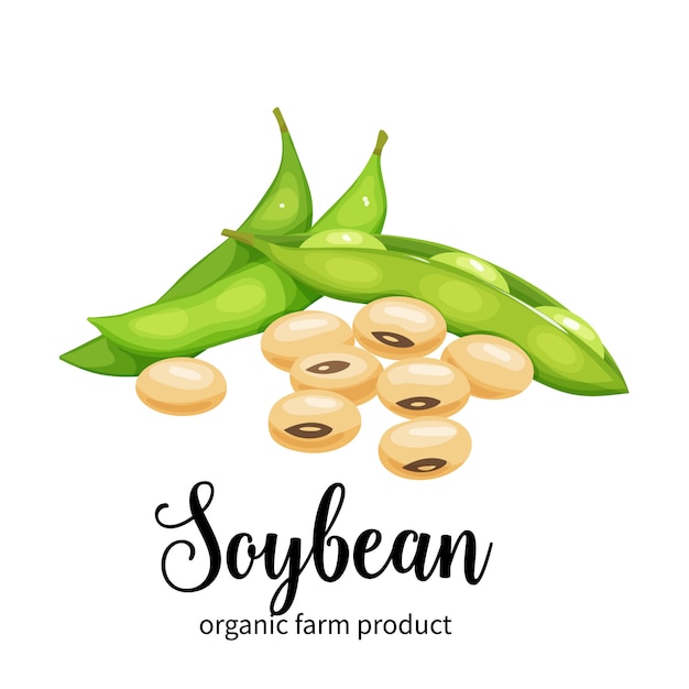 Soybean in cartoon style | Premium Vector