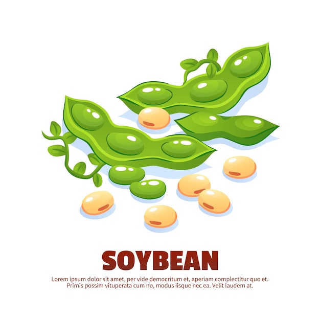 Free Vector | Soybean composition for template label packing and farmer