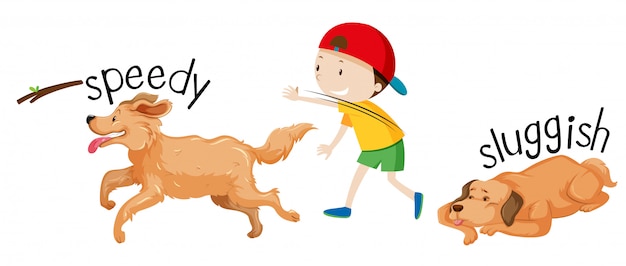 Free Vector Speed and sluggish dog Free Vector Speed and sluggish dog