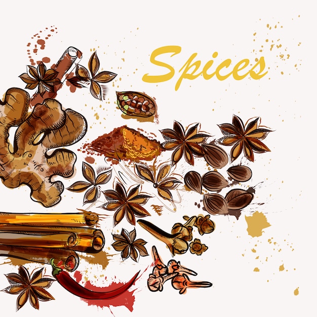 Download Free Spices Background Design Free Vector Use our free logo maker to create a logo and build your brand. Put your logo on business cards, promotional products, or your website for brand visibility.