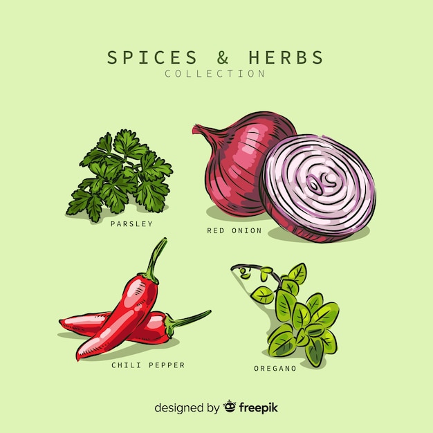  Spices and herbs collection